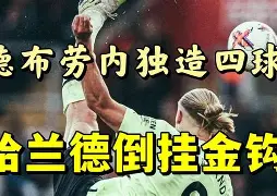 南宫28- 哈兰德视频