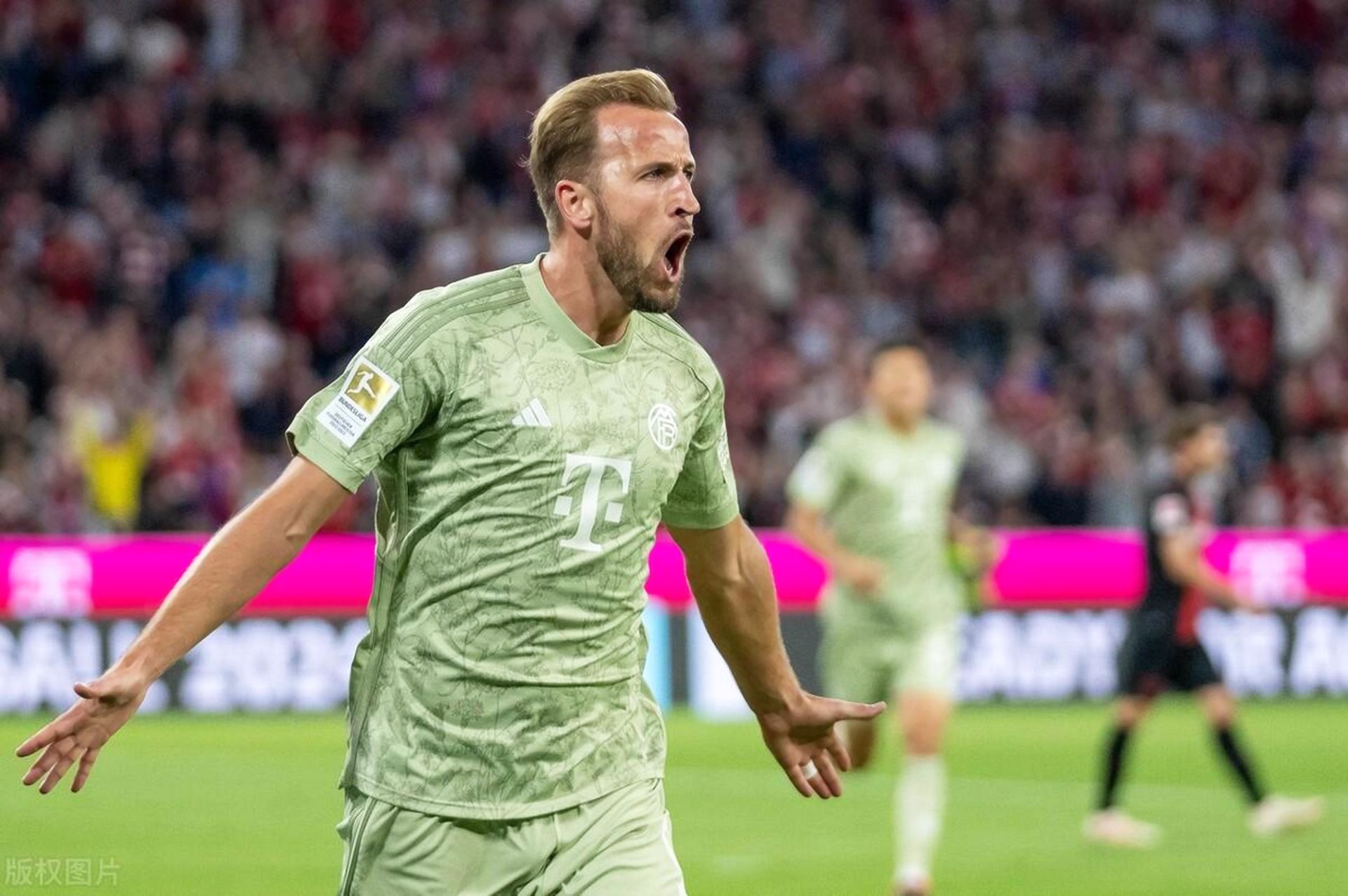 NG娱乐-关于凯恩赛事官方发布连败新规，塞尔维亚队争议不断！的信息